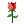 鲜花